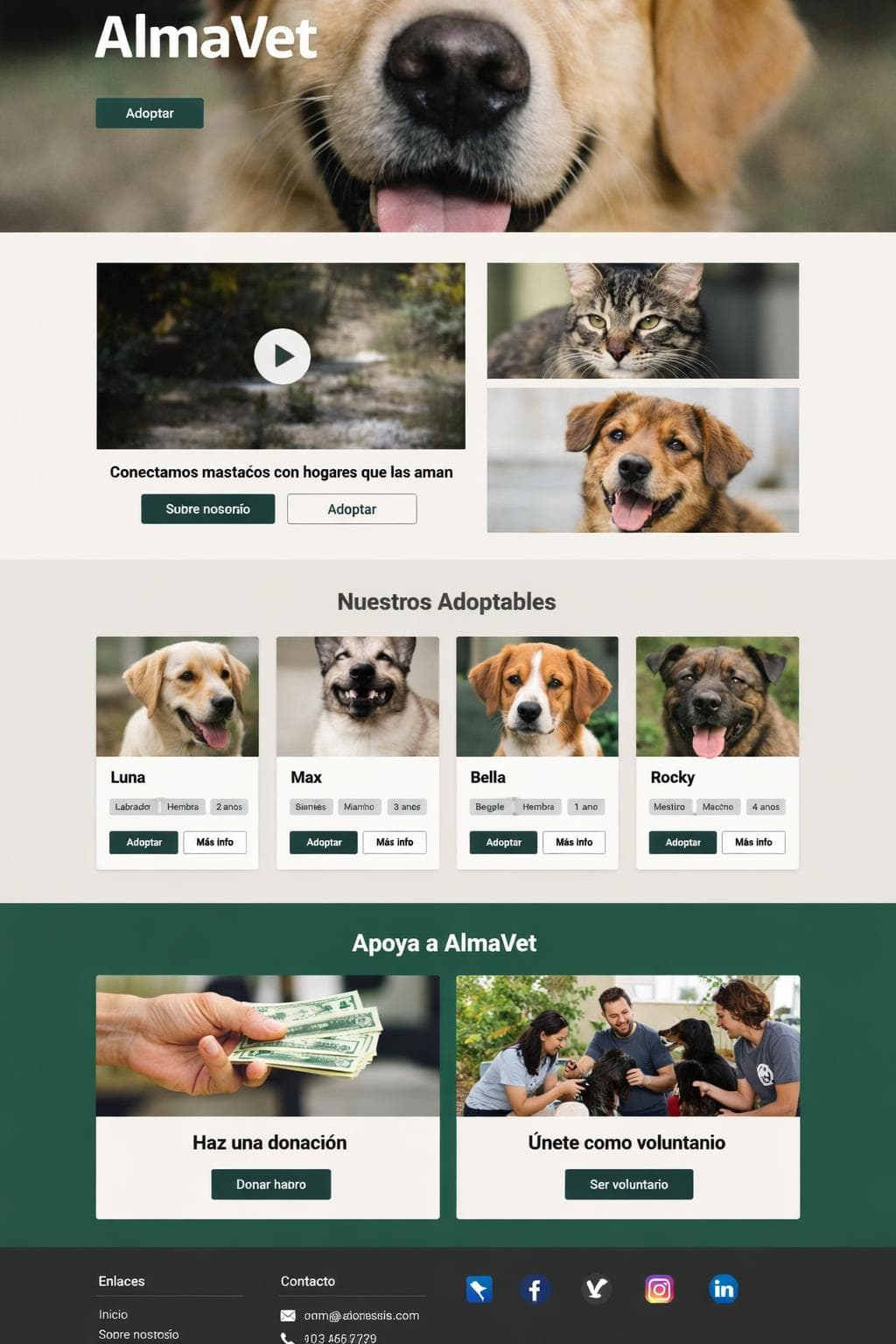 AlmaVet — vista previa del theme