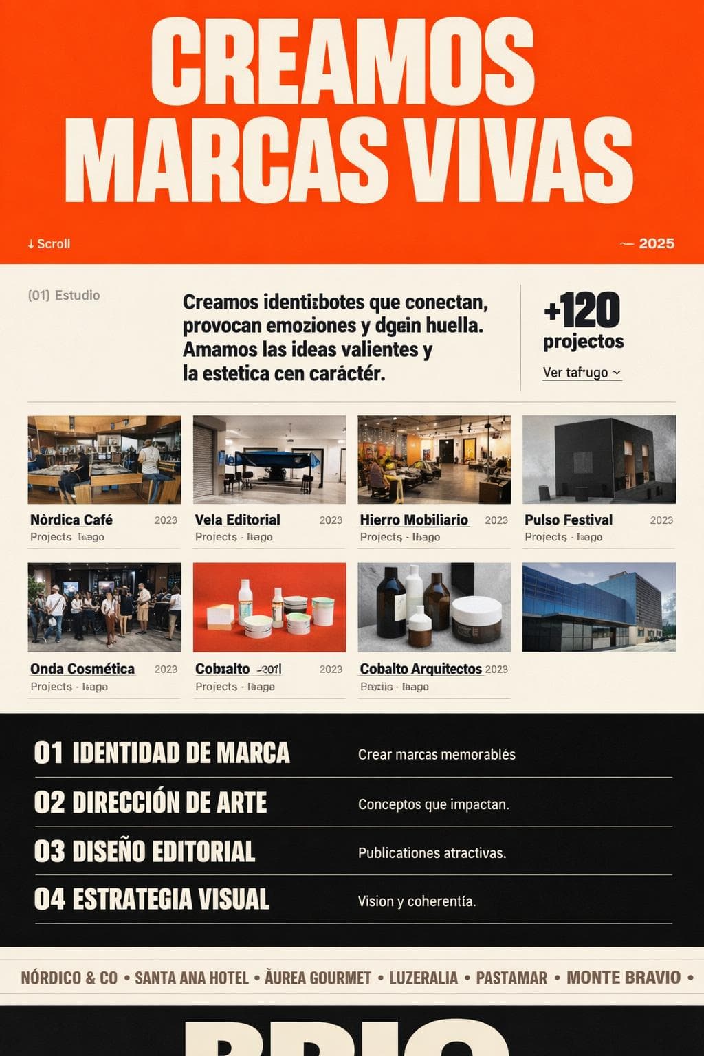 Brio Studio — vista previa del theme