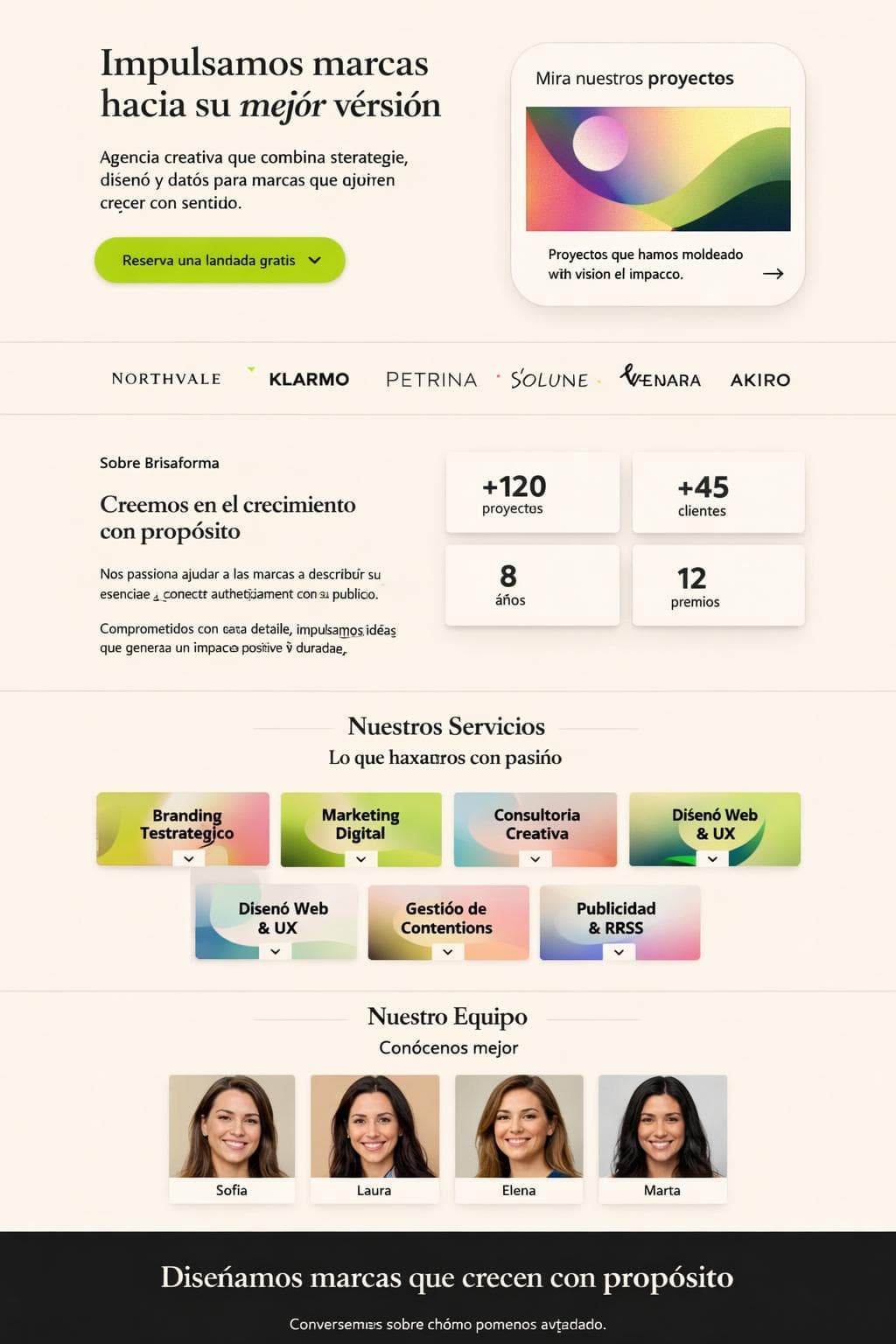 Brisaforma — vista previa del theme