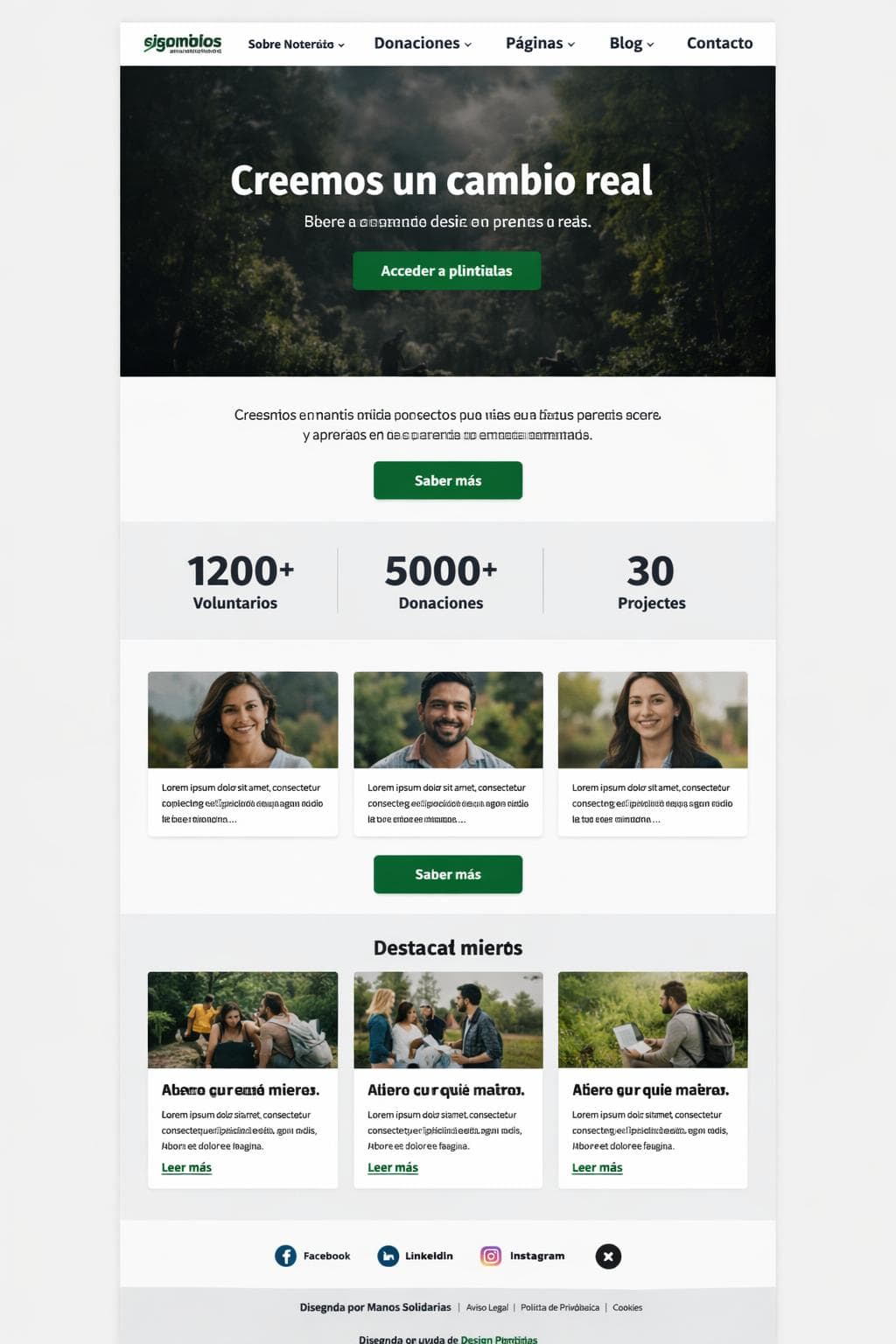Manos Solidarias — vista previa del theme
