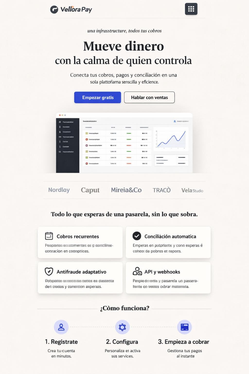 Vellora Pay — vista previa del theme