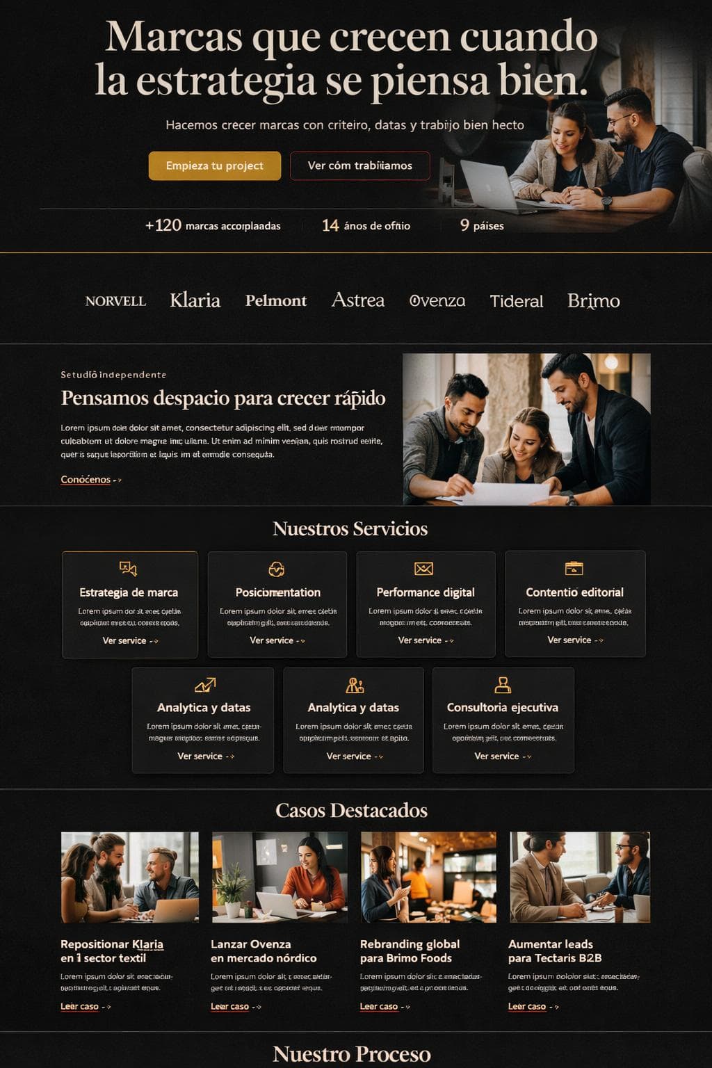 Vortania Studio — vista previa del theme